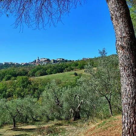 Vila Uccellaia By Posarellivillas Agello