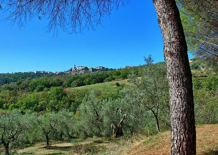 Villa Uccellaia By Posarellivillas Agello